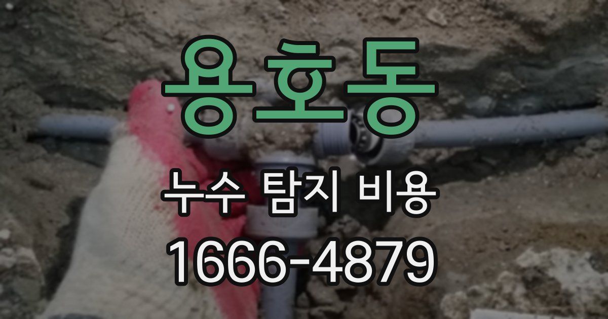 용호동 누수 탐지 비용