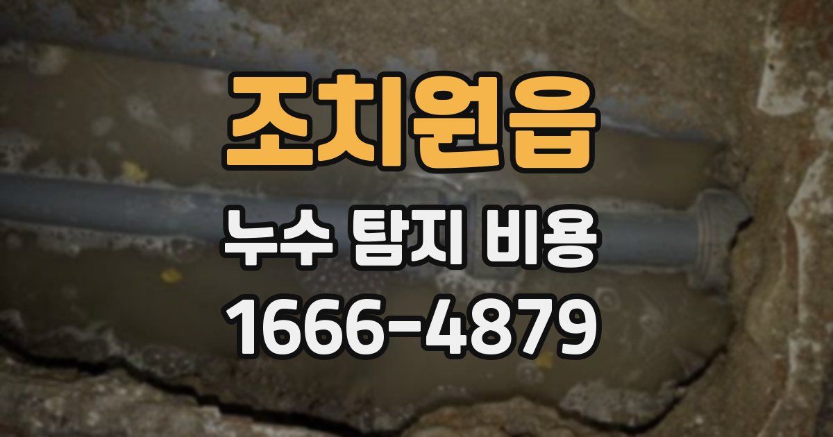 조치원읍 누수 탐지 비용