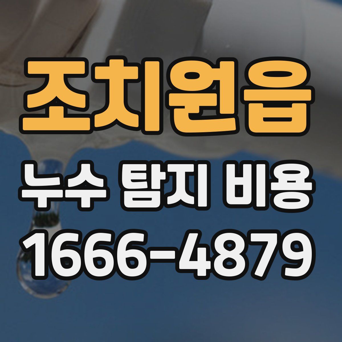조치원읍 누수 탐지 비용
