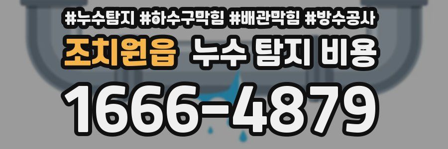 조치원읍 누수 탐지 비용