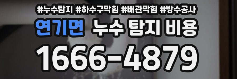 연기면 누수 탐지 비용
