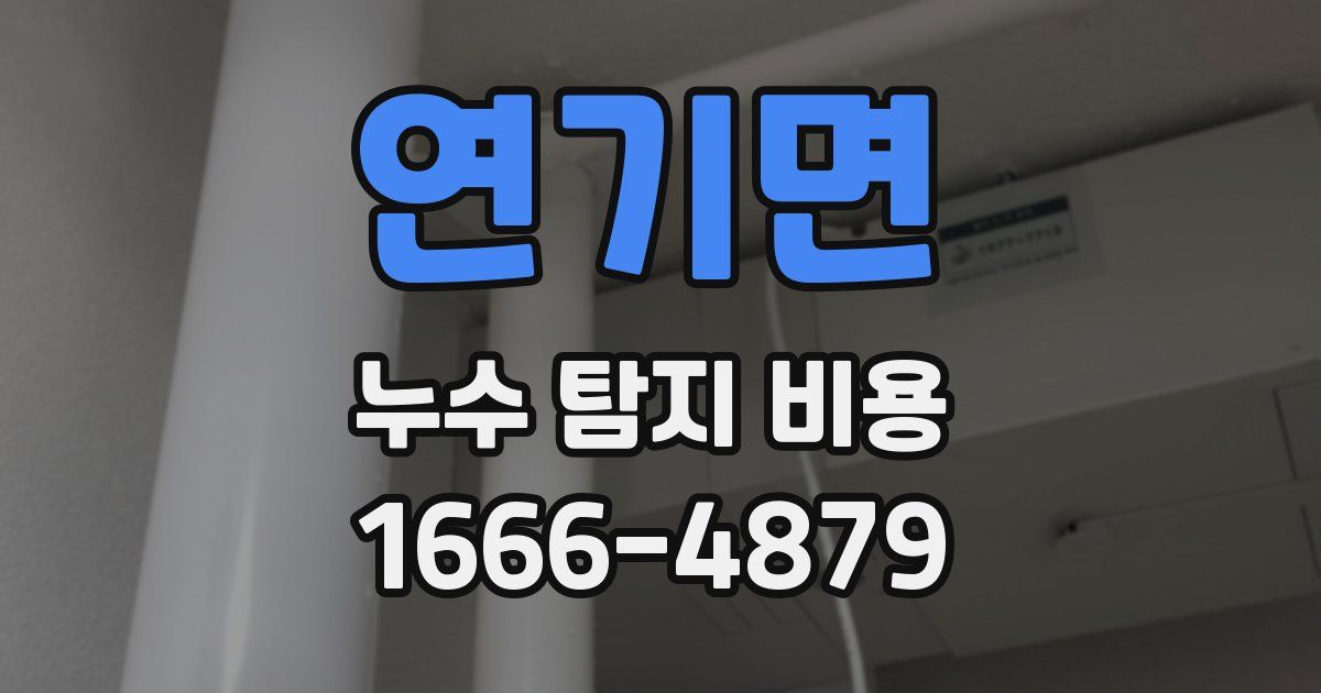 연기면 누수 탐지 비용