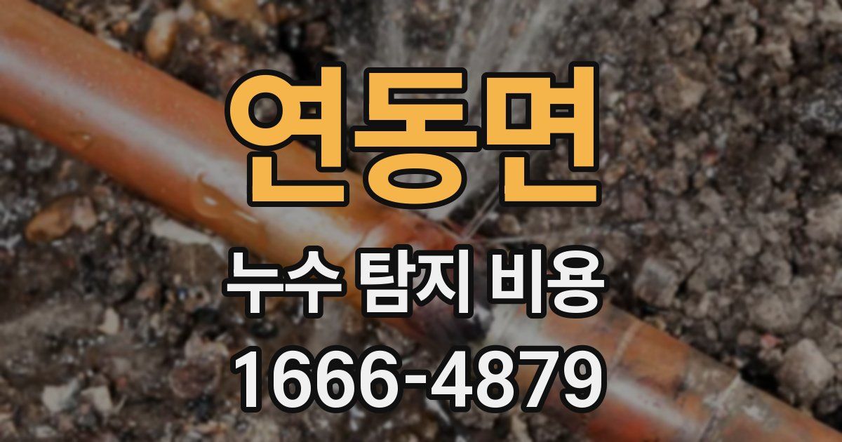 연동면 누수 탐지 비용