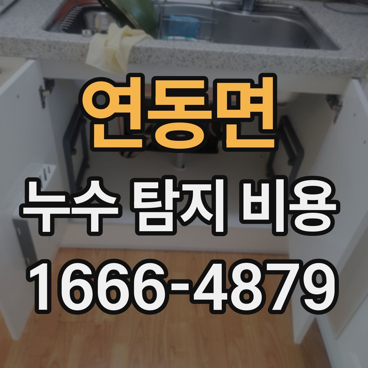 연동면 누수 탐지 비용