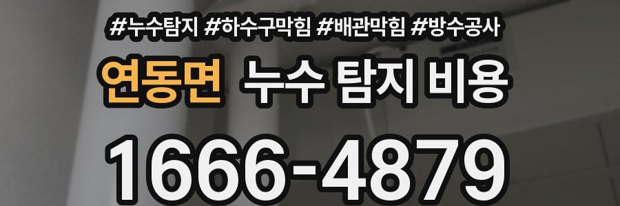 연동면 누수 탐지 비용