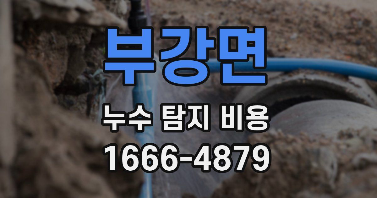 부강면 누수 탐지 비용