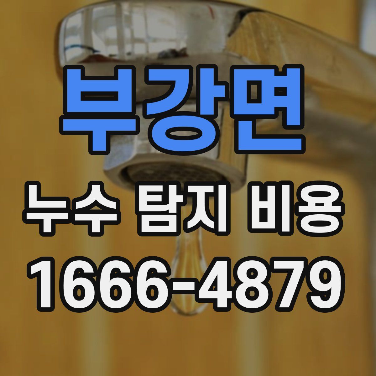 부강면 누수 탐지 비용
