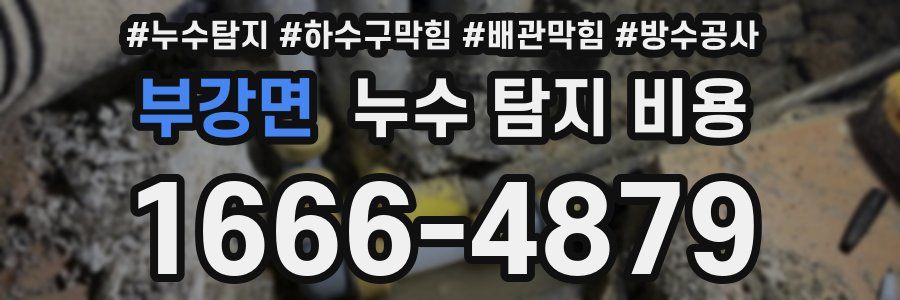 부강면 누수 탐지 비용