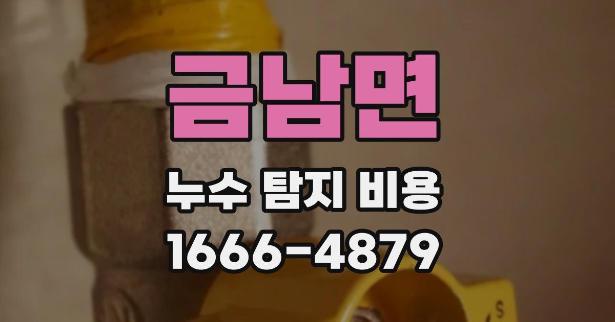 금남면 누수 탐지 비용