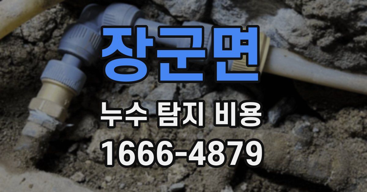 장군면 누수 탐지 비용
