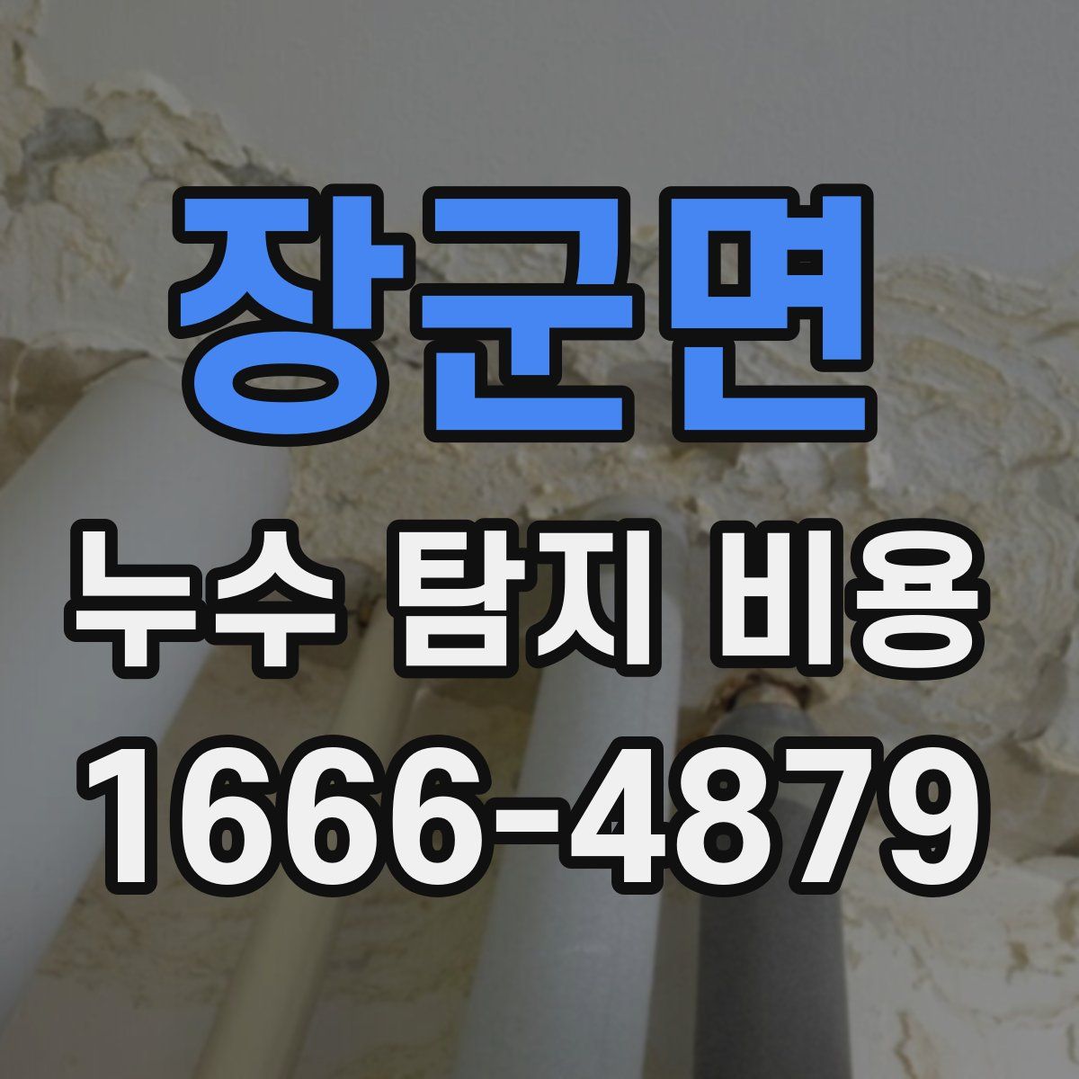 장군면 누수 탐지 비용