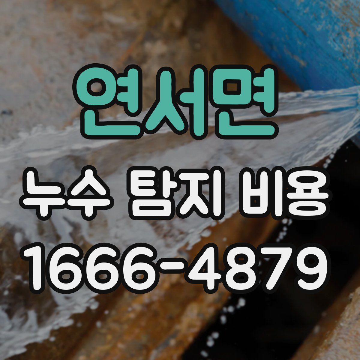 연서면 누수 탐지 비용