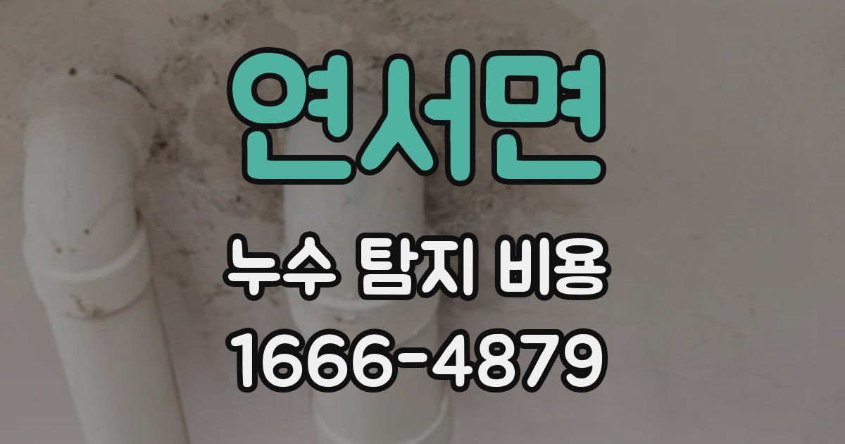 연서면 누수 탐지 비용