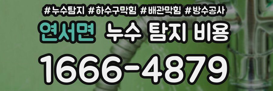 연서면 누수 탐지 비용