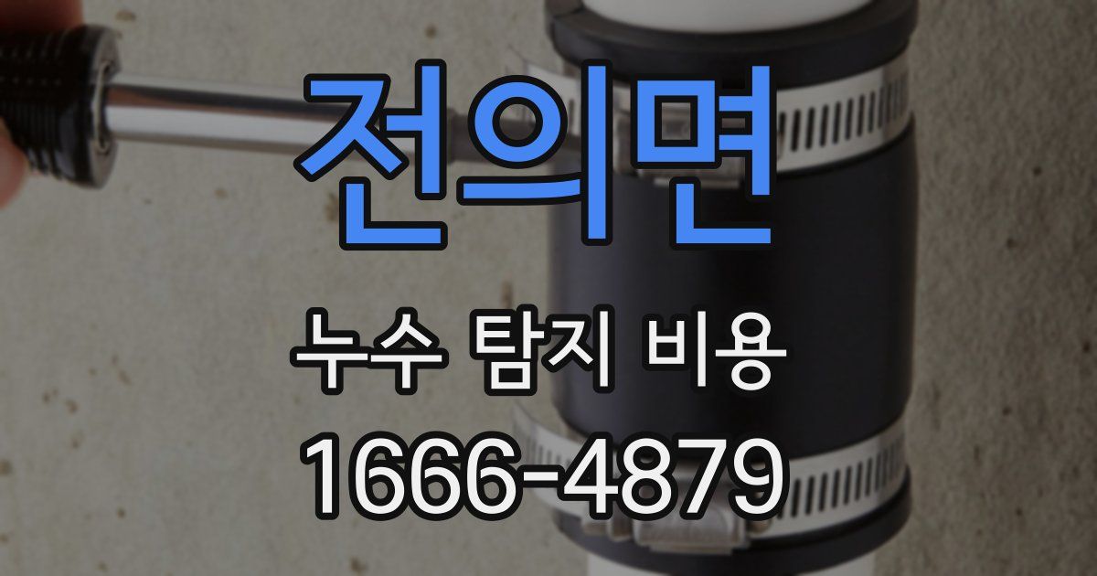 전의면 누수 탐지 비용
