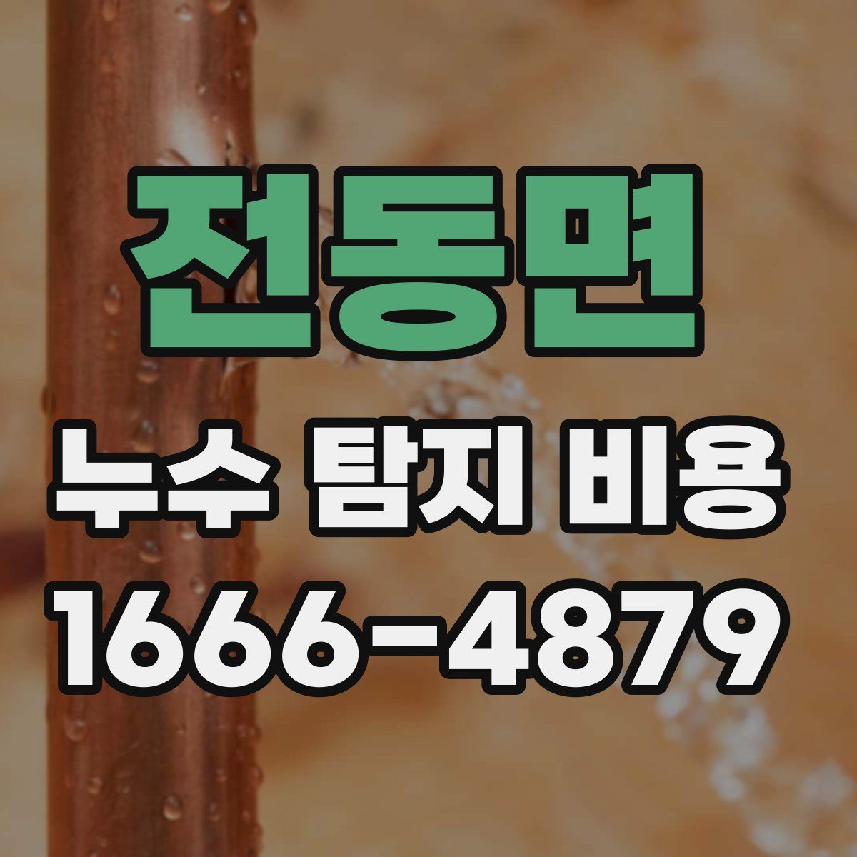 전동면 누수 탐지 비용