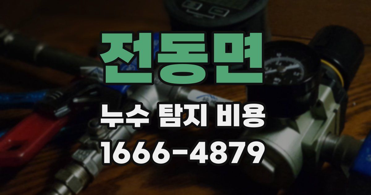 전동면 누수 탐지 비용