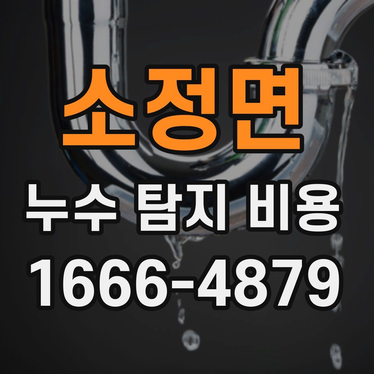 소정면 누수 탐지 비용