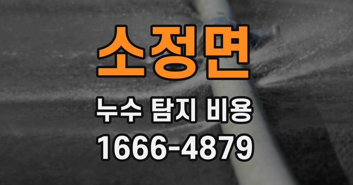 소정면 누수 탐지 비용