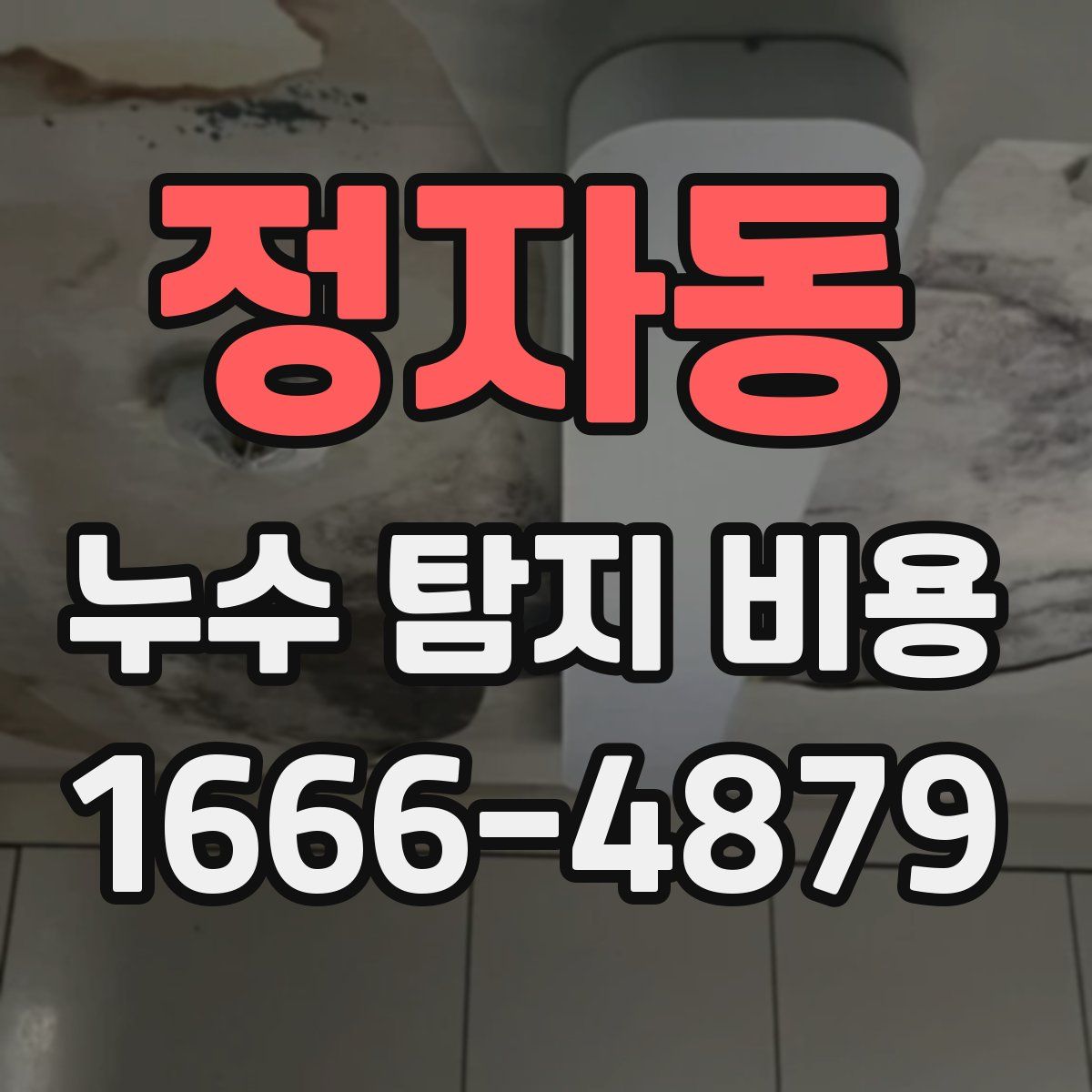 정자동 누수 탐지 비용
