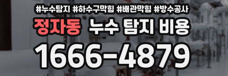 정자동 누수 탐지 비용