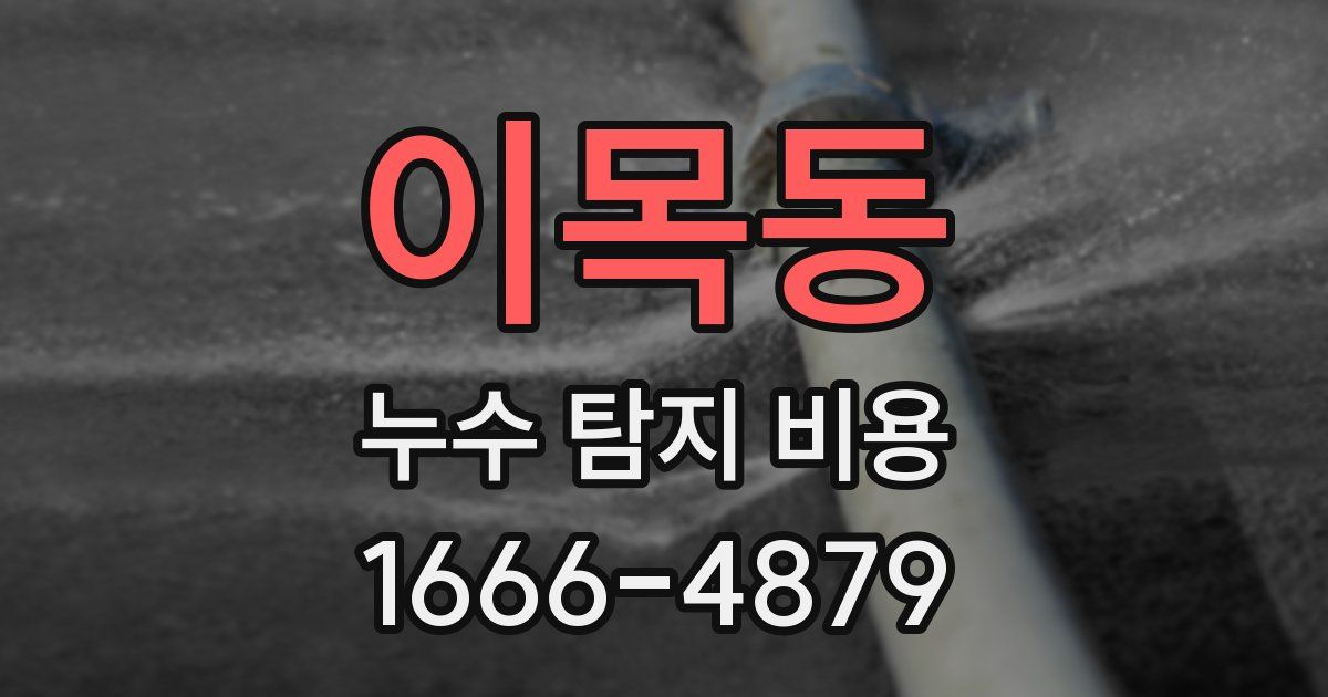 이목동 누수 탐지 비용
