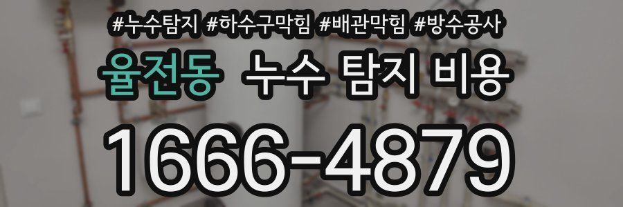 율전동 누수 탐지 비용