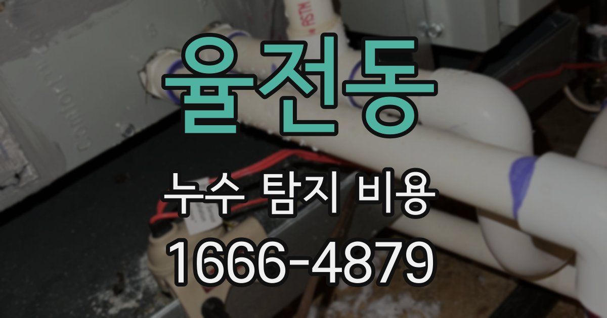 율전동 누수 탐지 비용