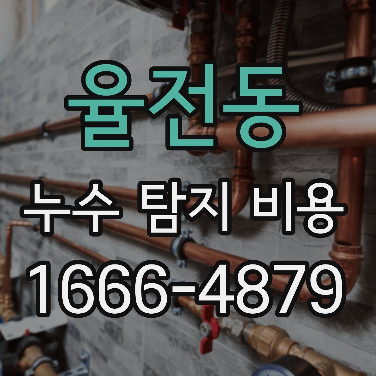 율전동 누수 탐지 비용