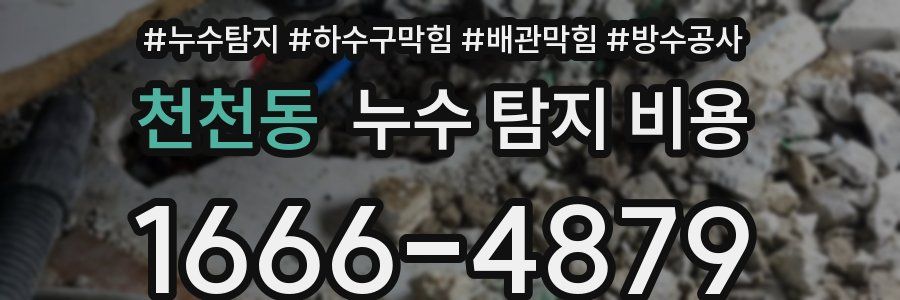 천천동 누수 탐지 비용