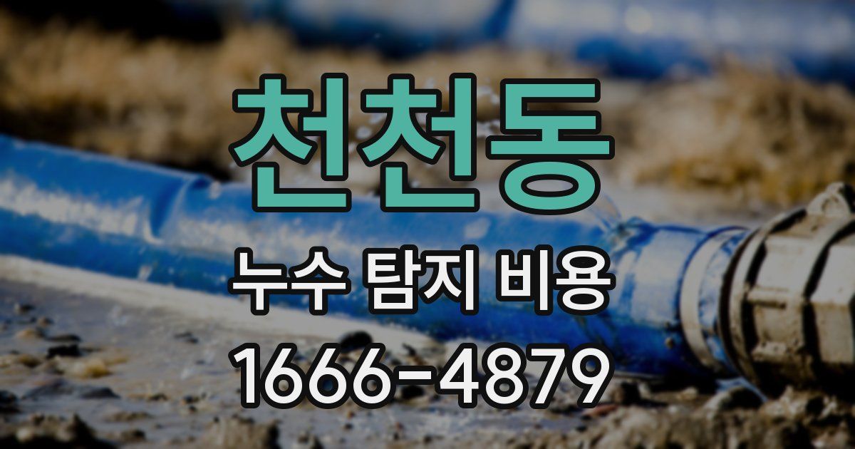 천천동 누수 탐지 비용