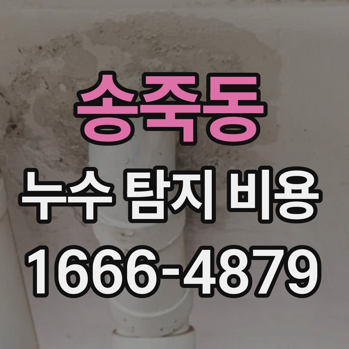 송죽동 누수 탐지 비용