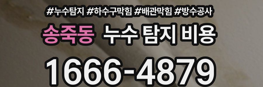 송죽동 누수 탐지 비용