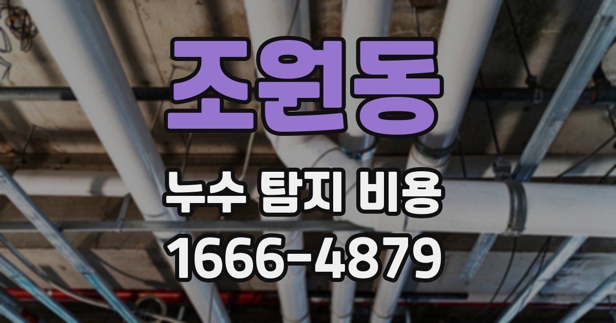 조원동 누수 탐지 비용
