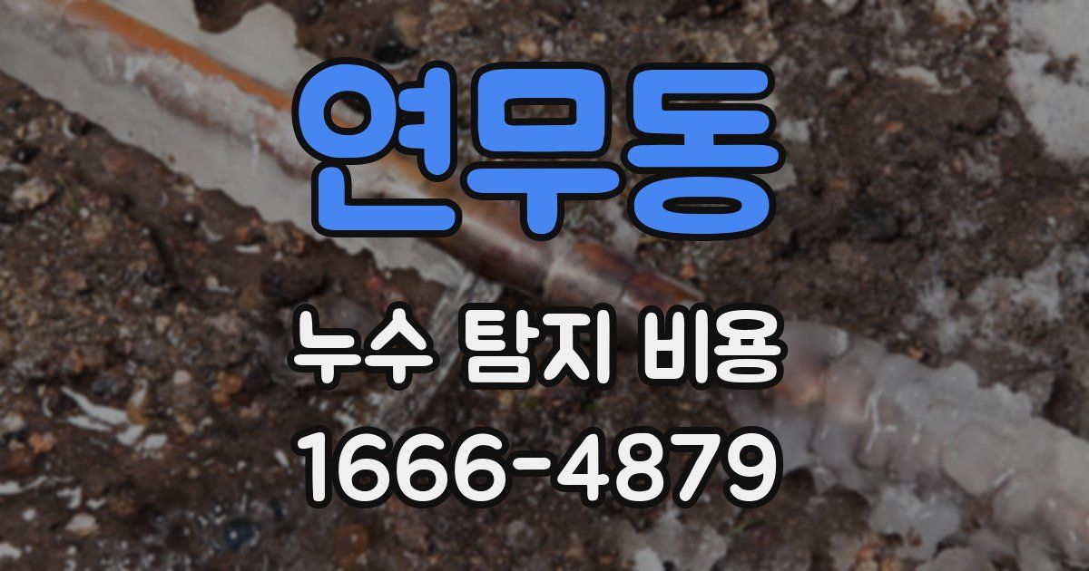 연무동 누수 탐지 비용