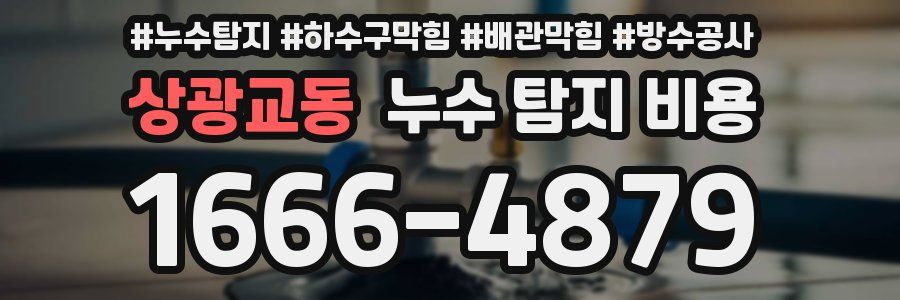 상광교동 누수 탐지 비용
