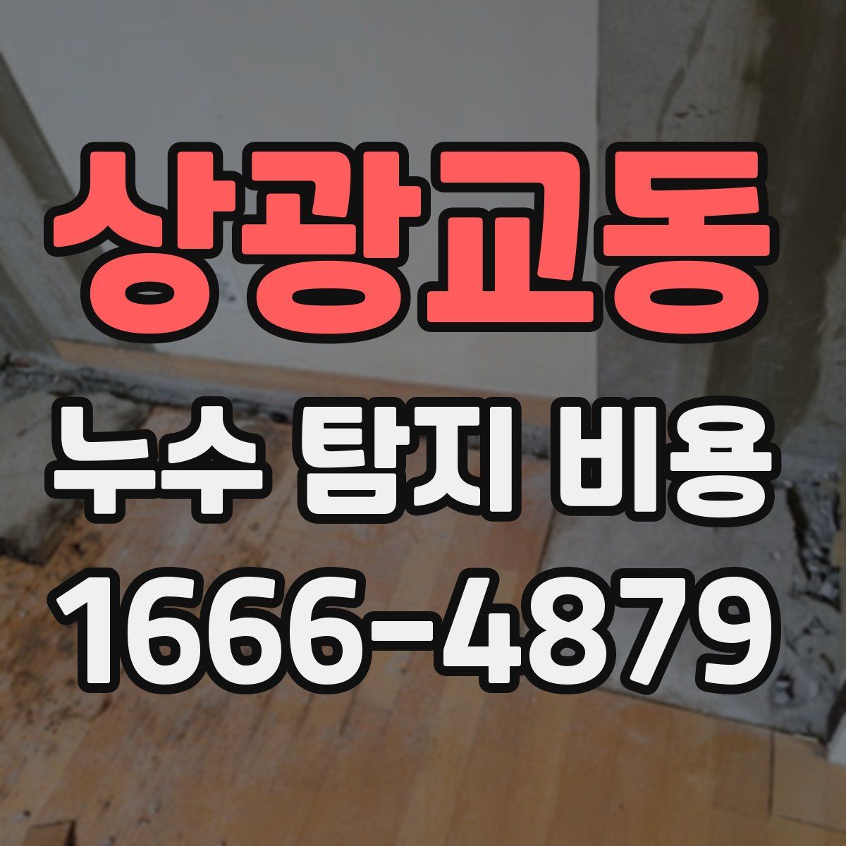 상광교동 누수 탐지 비용