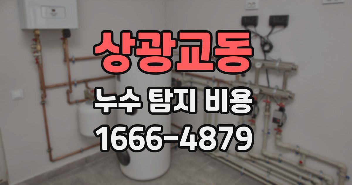 상광교동 누수 탐지 비용