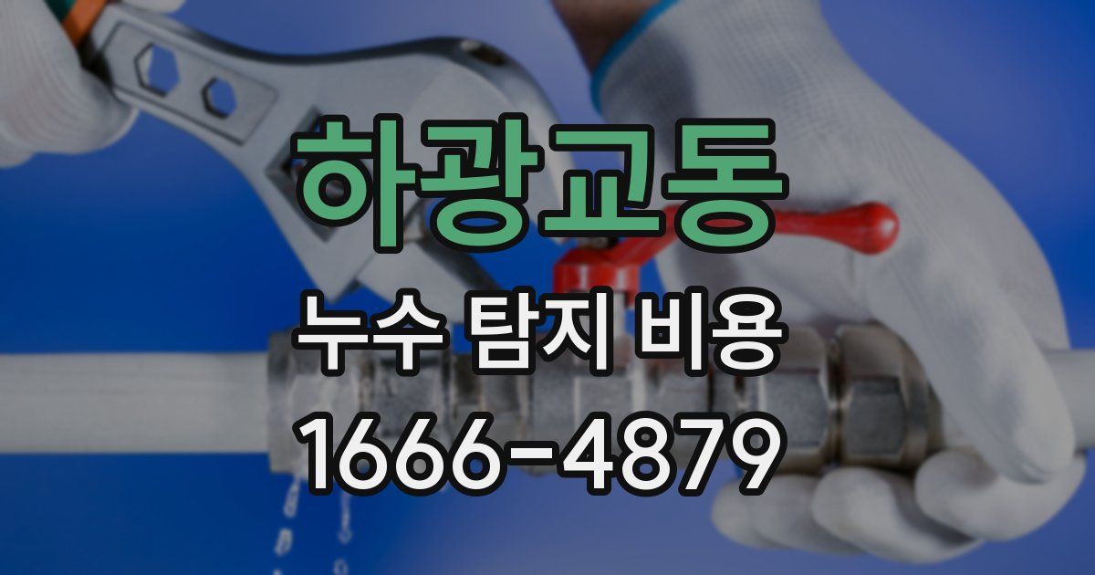 하광교동 누수 탐지 비용