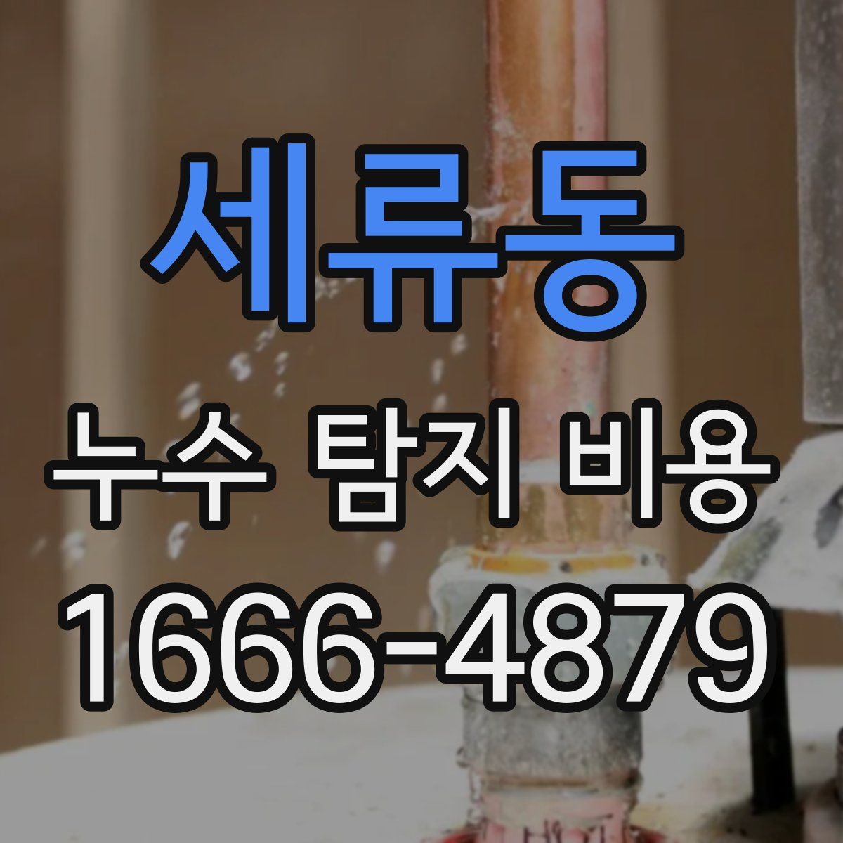 세류동 누수 탐지 비용
