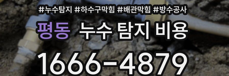 평동 누수 탐지 비용