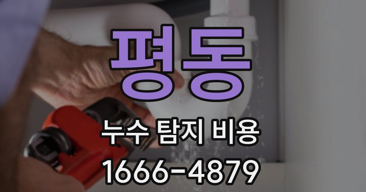평동 누수 탐지 비용