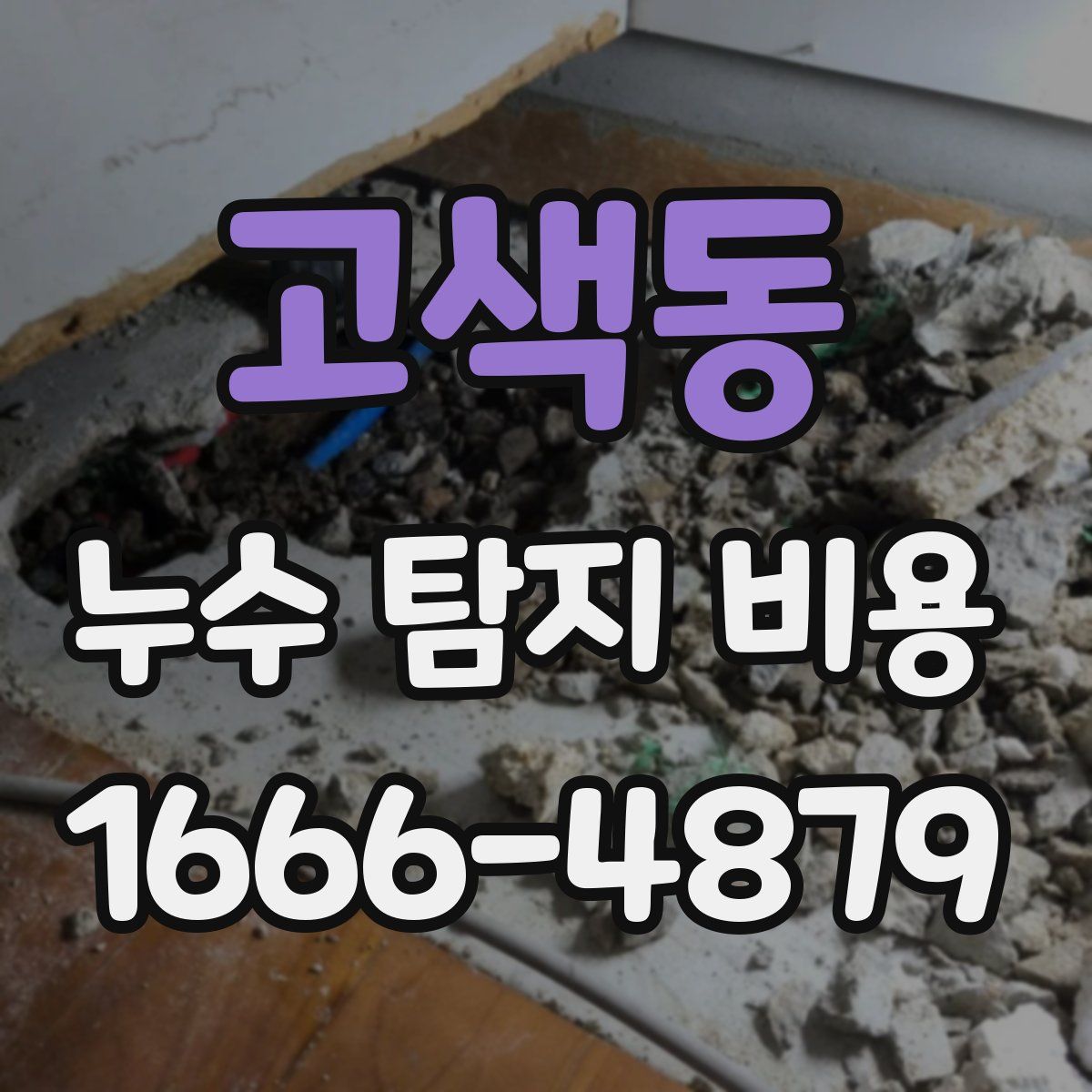 고색동 누수 탐지 비용