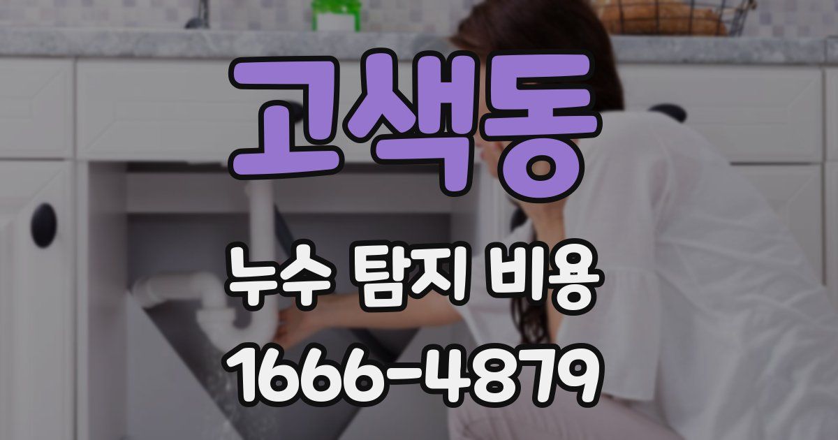고색동 누수 탐지 비용