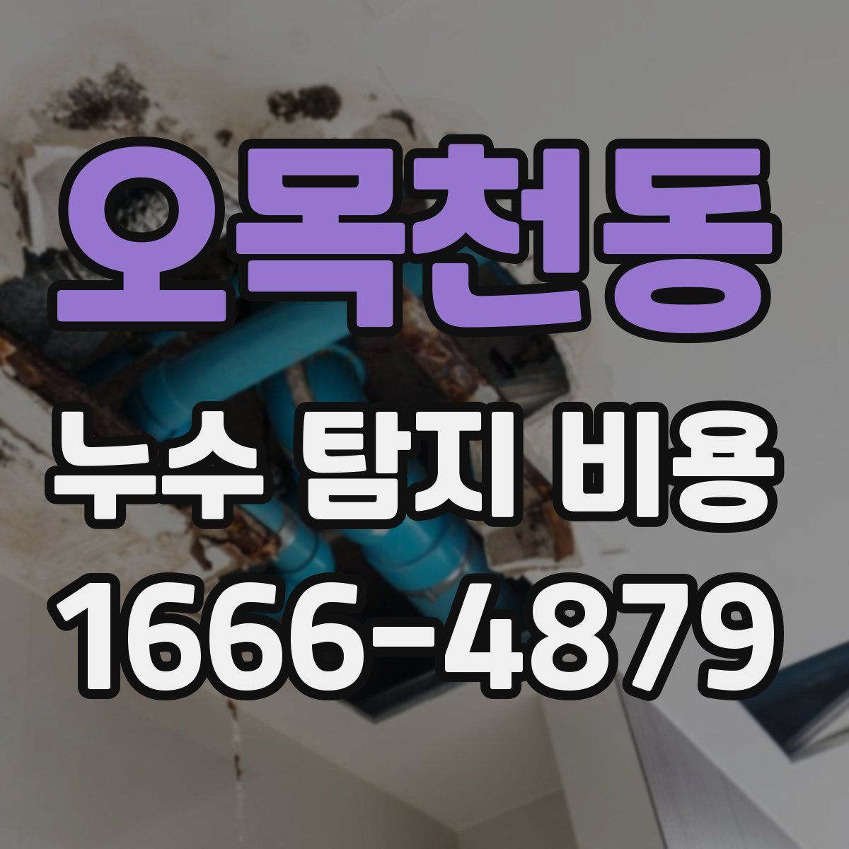 오목천동 누수 탐지 비용