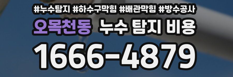 오목천동 누수 탐지 비용