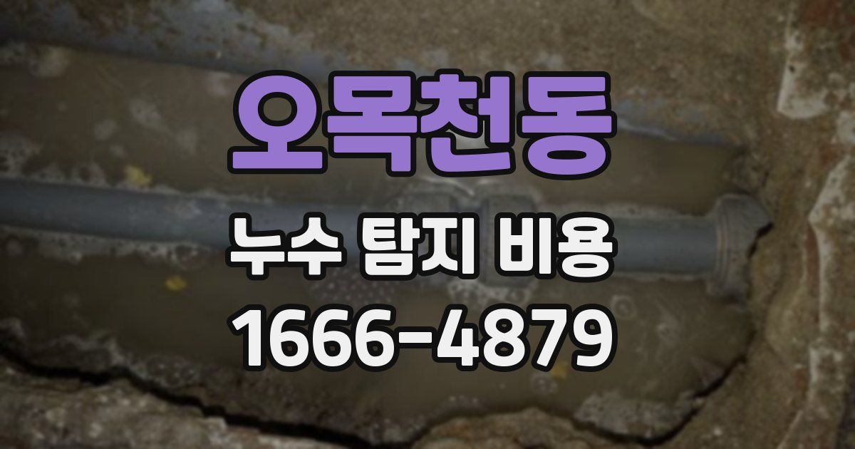 오목천동 누수 탐지 비용