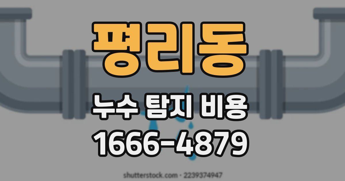평리동 누수 탐지 비용