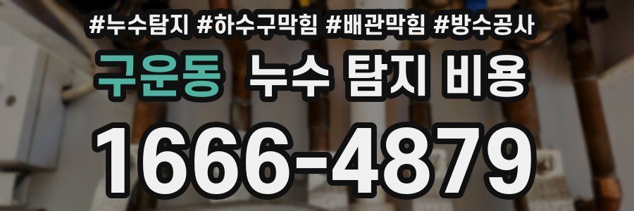 구운동 누수 탐지 비용