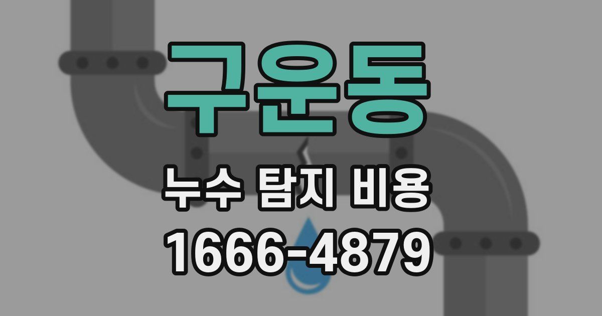 구운동 누수 탐지 비용